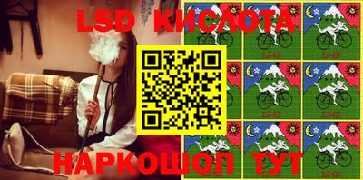 индика Будённовск