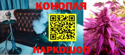 индика Будённовск