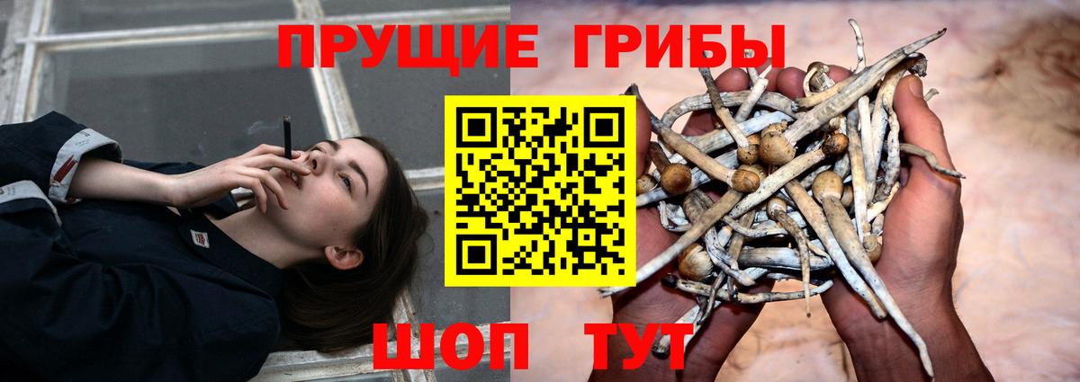 Галлюциногенные грибы мухоморы Севастополь